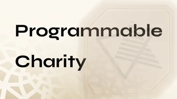 What Is Programmable Charity?