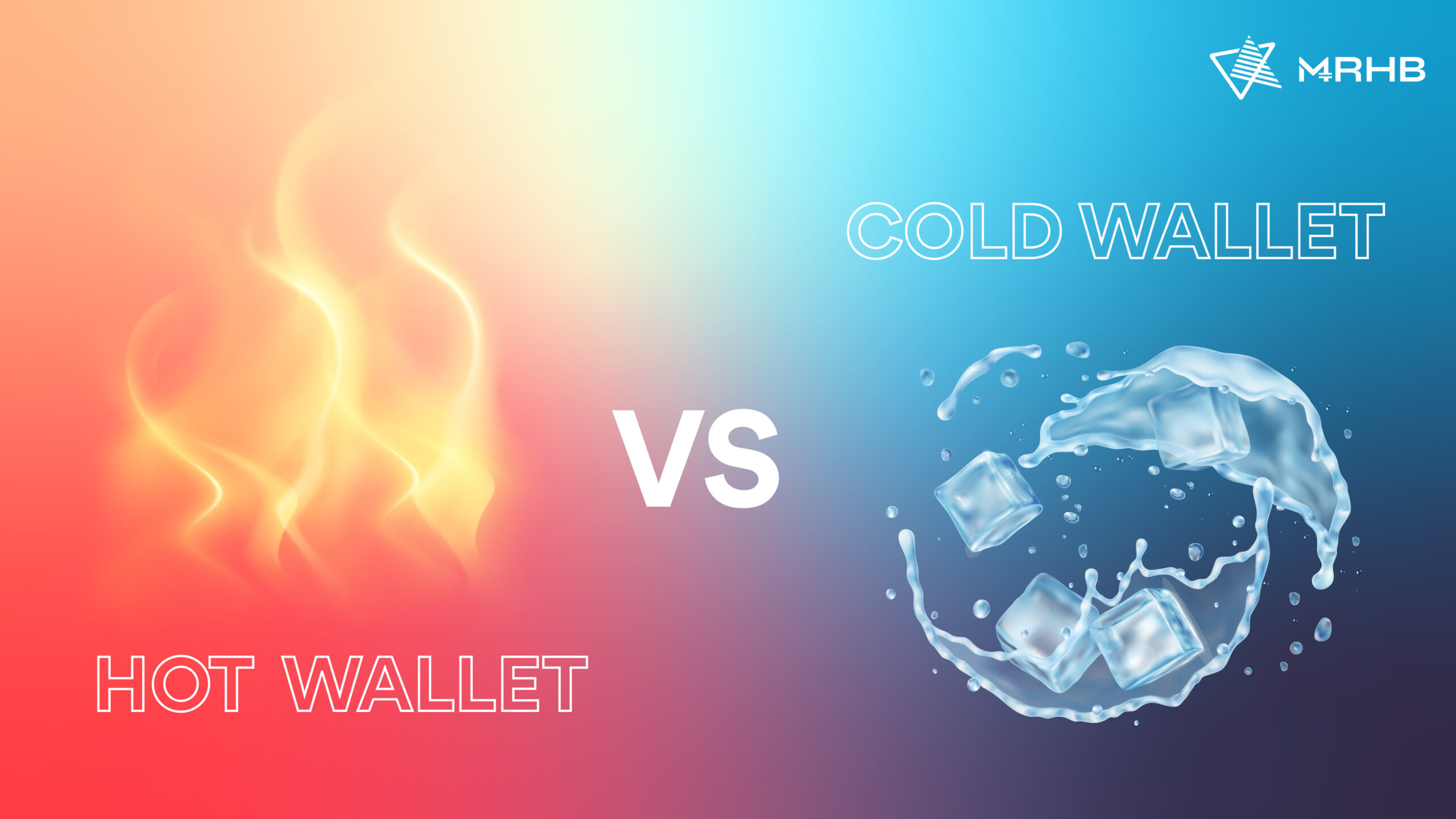 hot and cold wallet comparison
